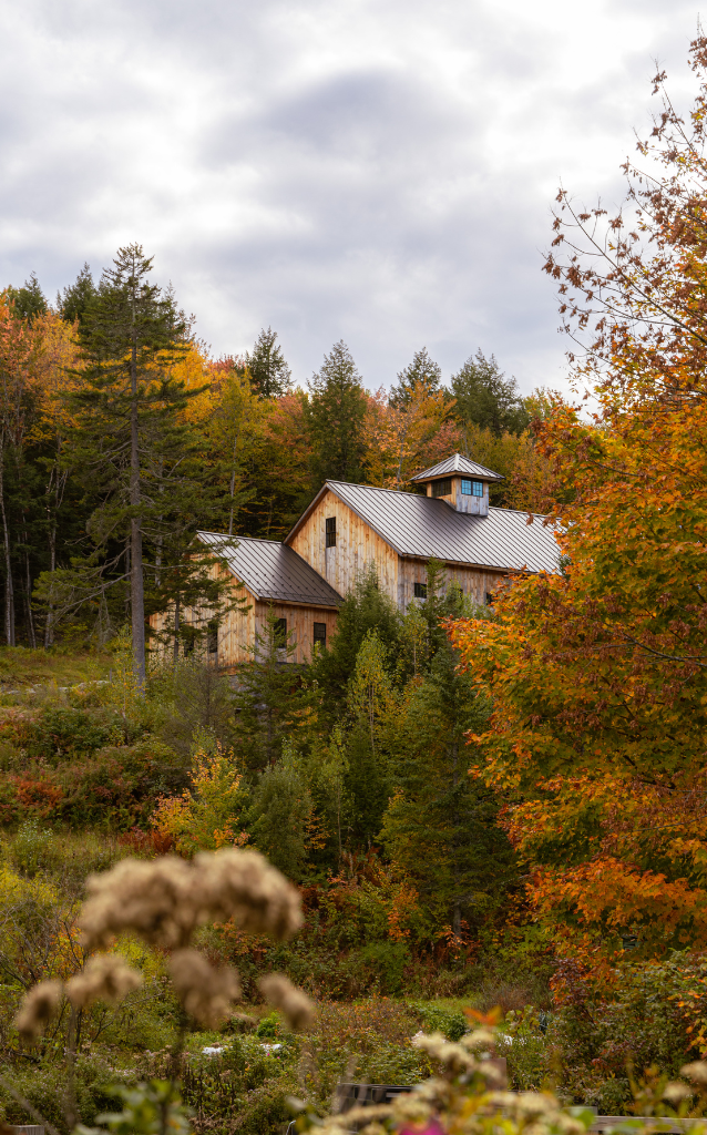 Grand Odyssey Travel Fall Vacation Deals