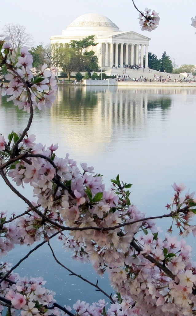 Explore the Smithsonian museums, visit the National Mall, and learn about American history at iconic landmarks like the Lincoln Memorial and the White House