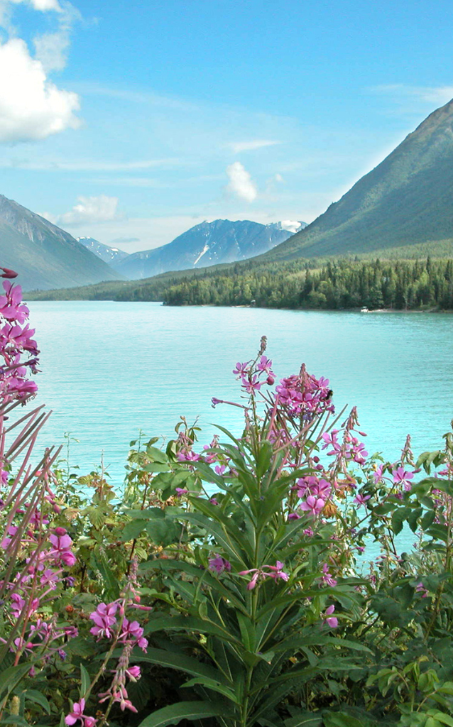 Whether you're looking for an exciting adventure in Yellowstone, a relaxing beach getaway in San Diego, or an unforgettable Alaskan cruise, our team is here to handle all the details.