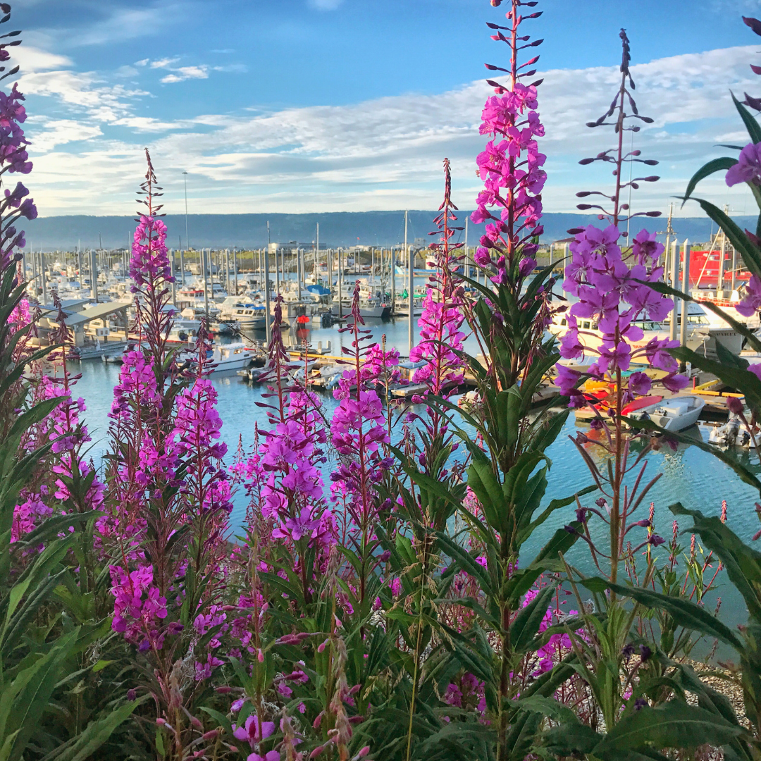 An Alaskan cruise is the ultimate family getaway for those looking to combine adventure with breathtaking natural beauty. 