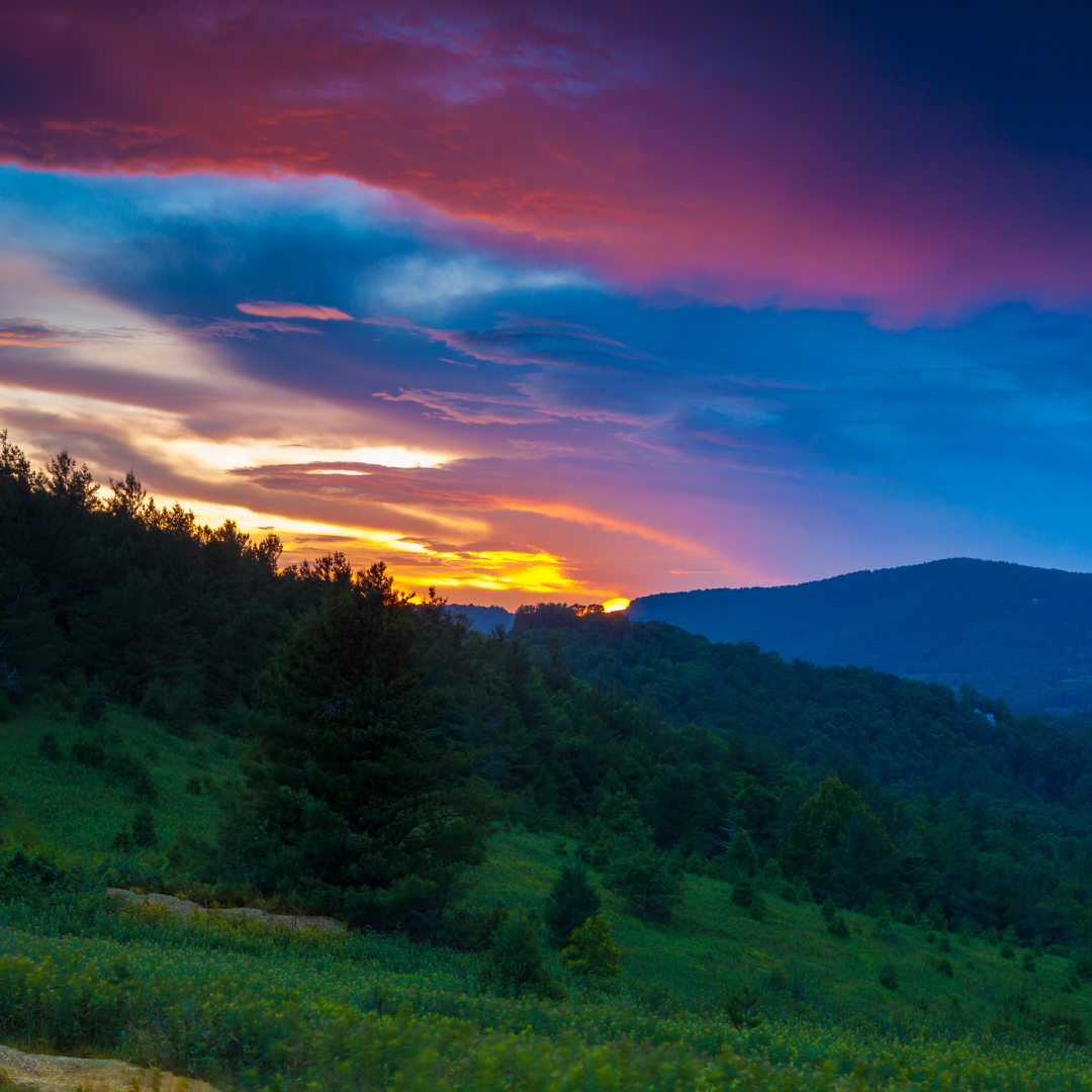Asheville, North Carolina, is a hidden gem in the Blue Ridge Mountains, offering families a mix of outdoor adventures and cultural experiences. 