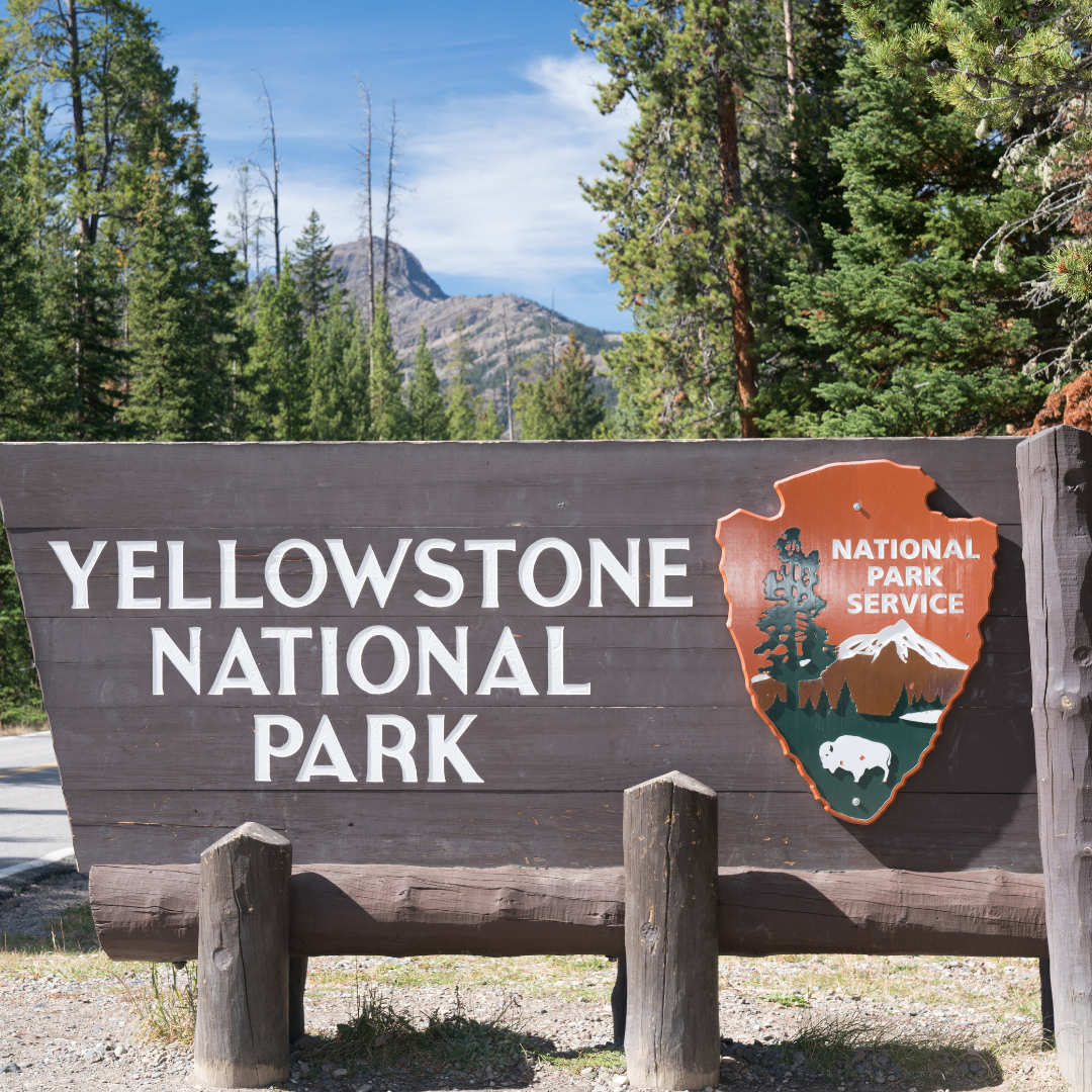 Yellowstone National Park offers a perfect mix of natural wonders and outdoor adventure for families. 