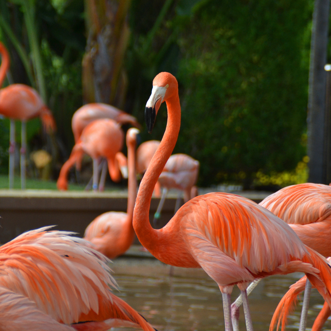 San Diego is a fantastic summer destination for families, offering sunny weather and plenty of activities. 