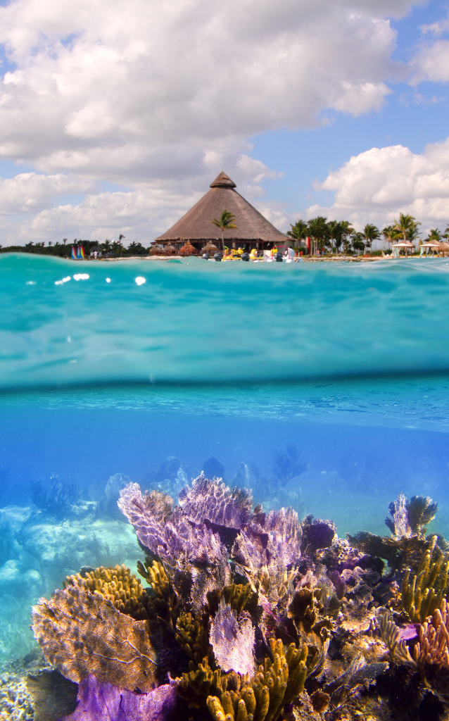 Planning a cruise with Grand Odyssey Travel means you have an expert team by your side, guiding you every step of the way. From choosing the best cruise line and itinerary to booking excursions in destinations like Mexico’s Riviera Maya or Italy’s Amalfi Coast, we handle all the details for you. Whether you want to explore ancient ruins, lounge on pristine beaches, or experience local culture, we’ll ensure your cruise is unforgettable. Let us take care of the planning so you can focus on the excitement of your next adventure at sea.